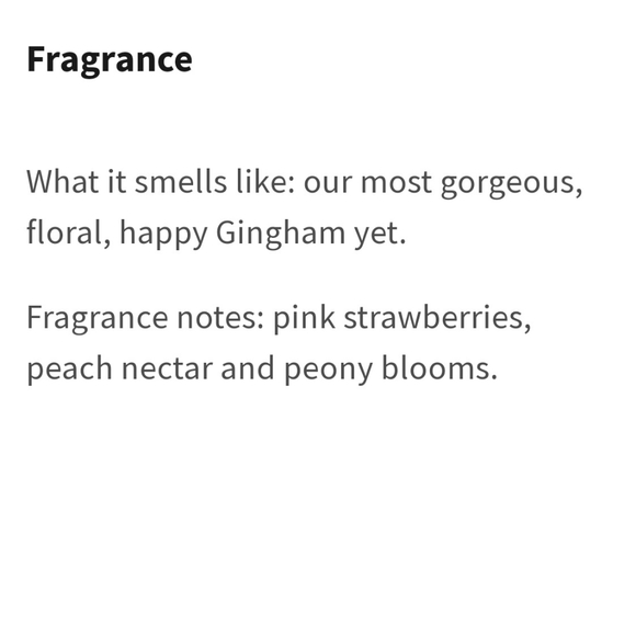 ๐BOGO 50% OFF๐๐๐ฟ NWTโผ๏ธBath & Body Works "Gingham Gorgeous" Pair of Hair Care - Picture 4 of 8